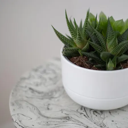 Porte Mars Gare Centre 4* Reims