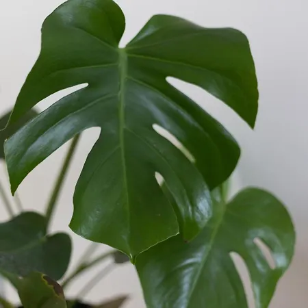 Porte Mars Gare Centre 4*