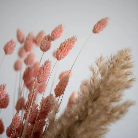 Porte Mars Gare Centre アパートホテル