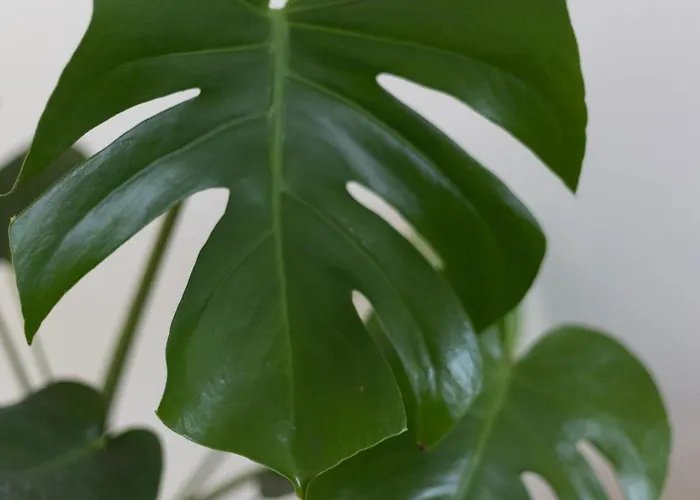 Porte Mars Gare Centre 4*