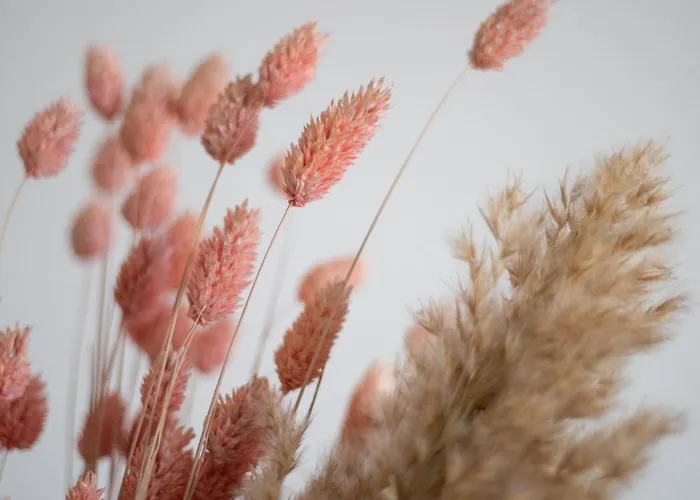 Porte Mars Gare Centre Aparthotel
